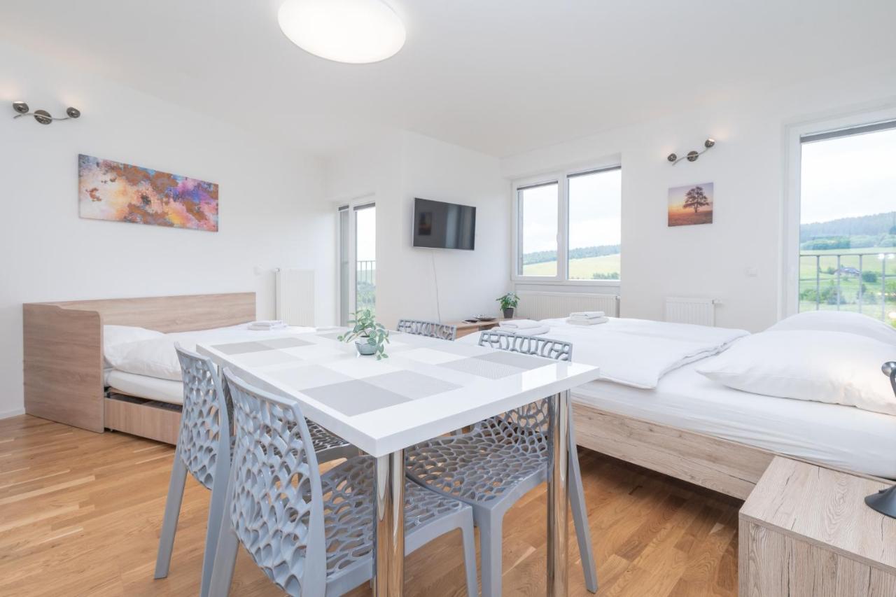 Horsky Apartman Temari 12 Klinovec Loucna pod Klinovcem Ngoại thất bức ảnh