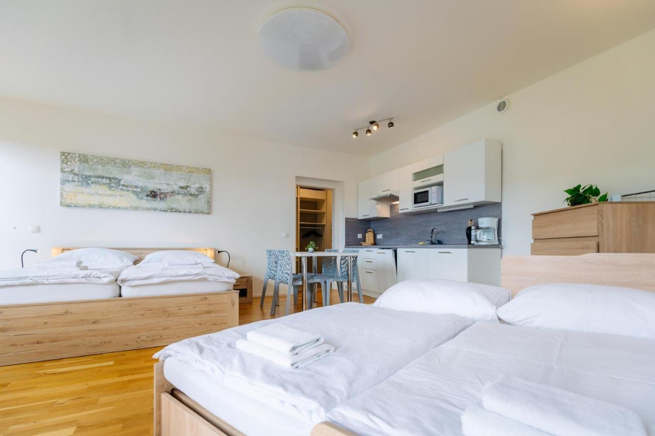 Horsky Apartman Temari 12 Klinovec Loucna pod Klinovcem Ngoại thất bức ảnh